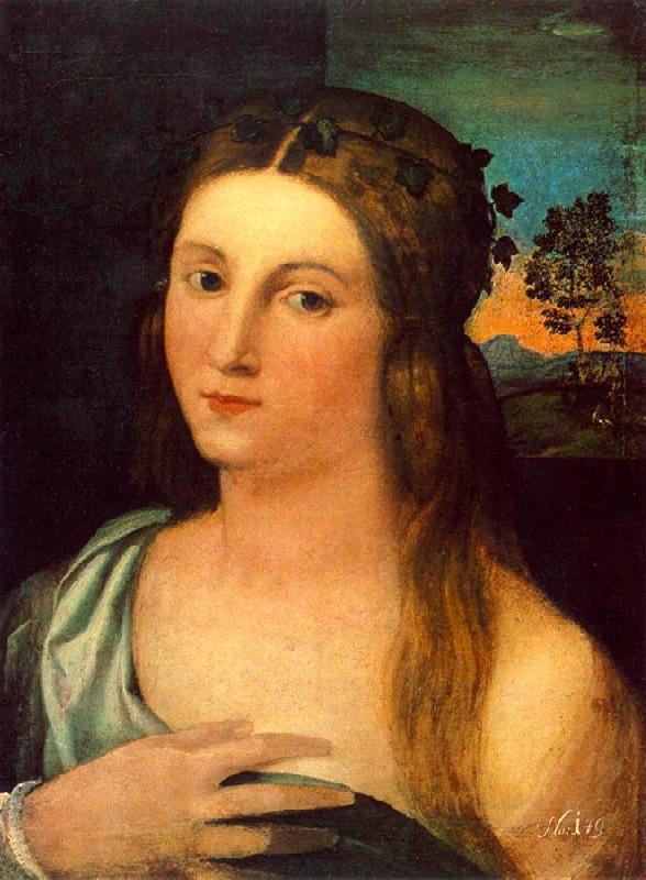 Palma Vecchio Portrait of a Young Woman ag oil painting picture